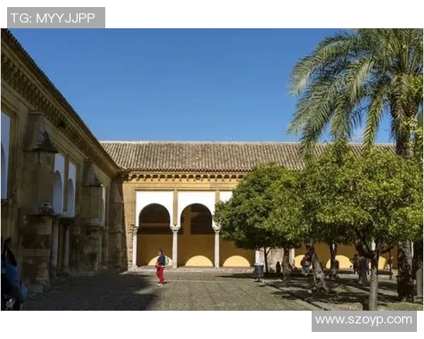 探索摩尔特里之美：揭开这座城市的历史与文化魅力